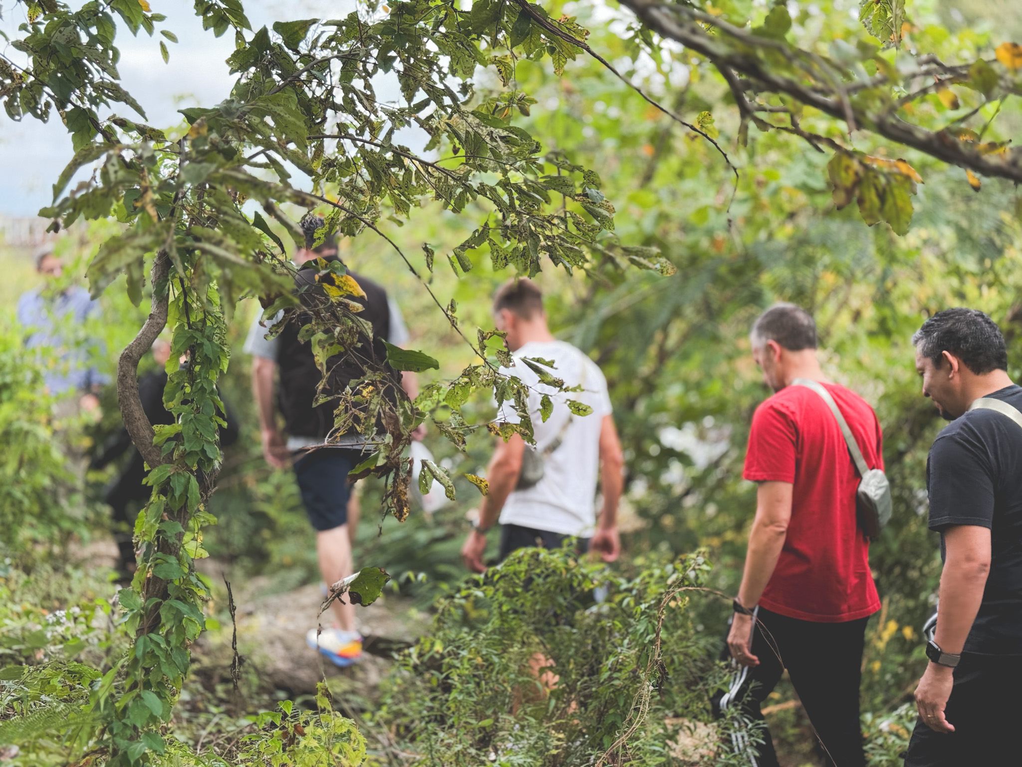 Team navigating island terrain